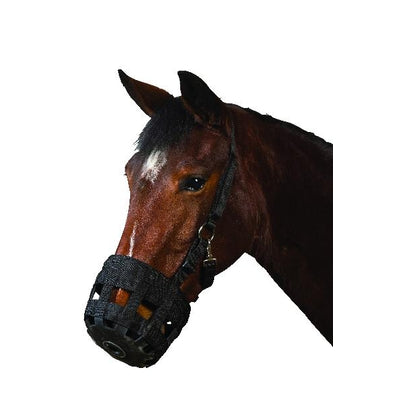 401359.jpg