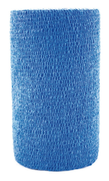5-109671.jpg
