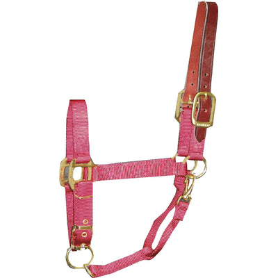 5-145289-red.jpg
