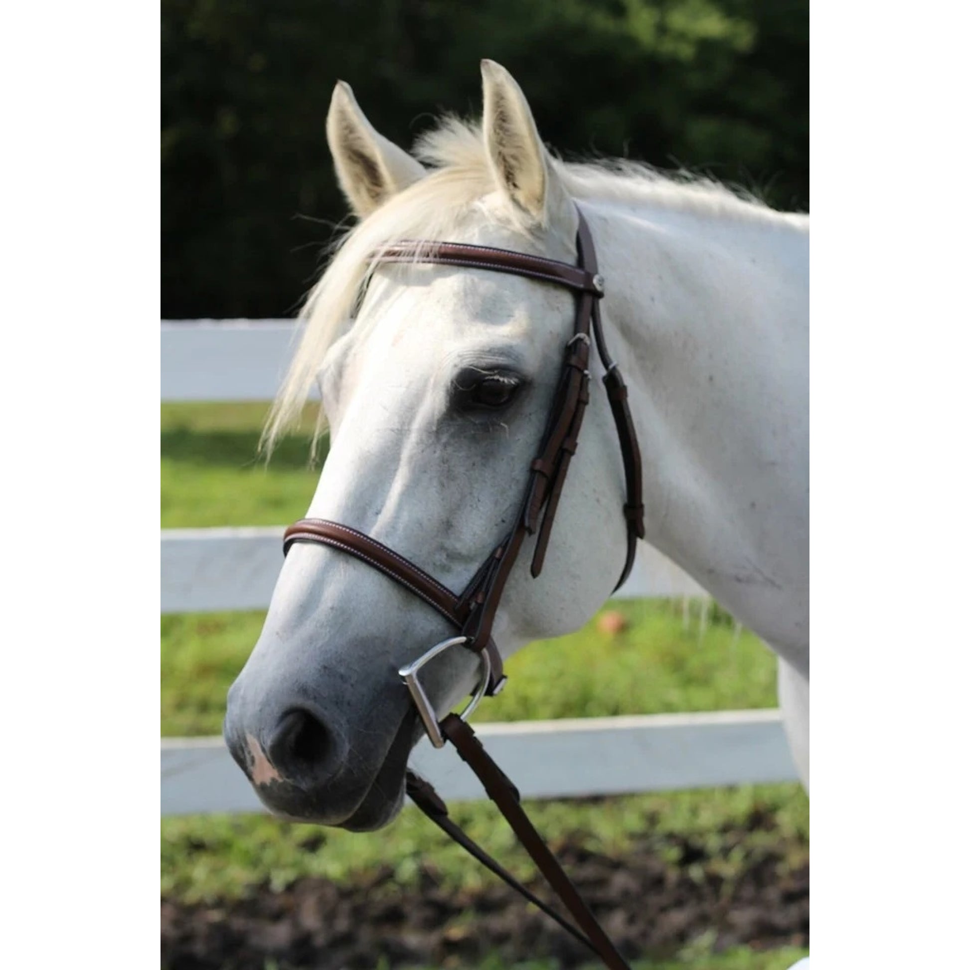 HDR Advantage Raised Snaffle Bridle