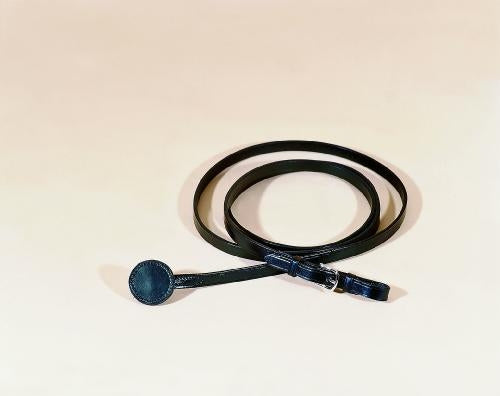 Tory 5/8In Bridle Leather Lead - Brass Buckle Blk