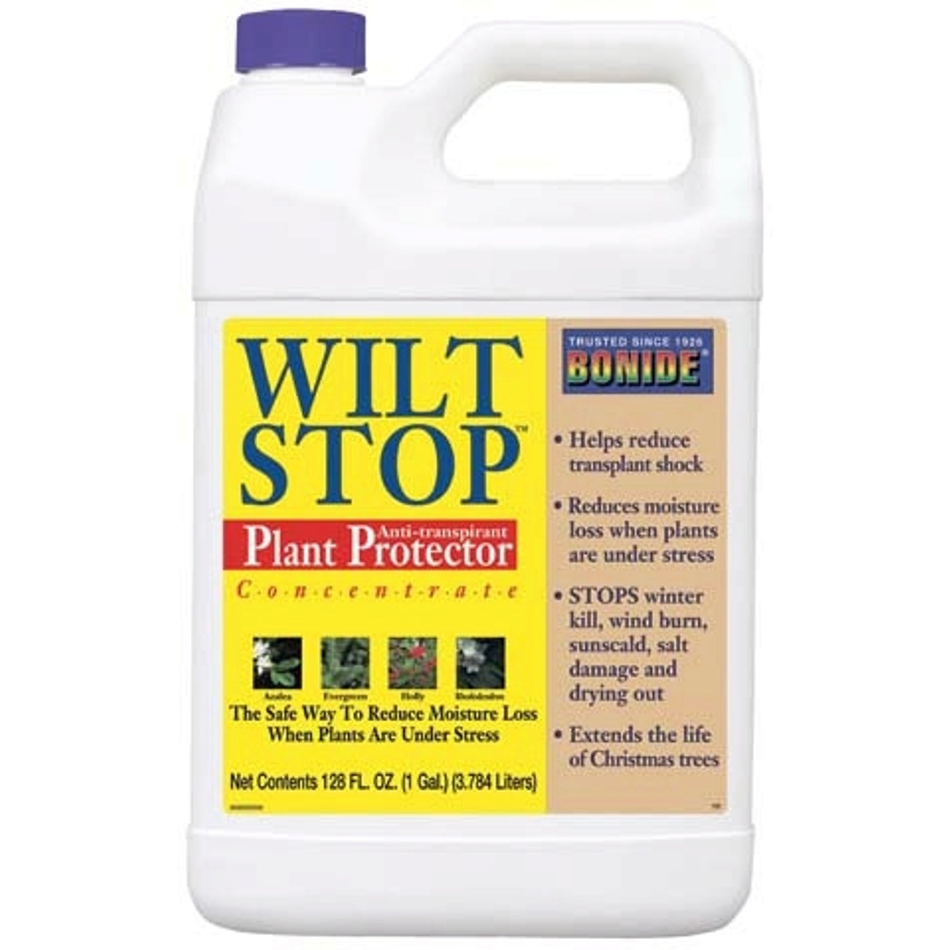 5-199196.jpg