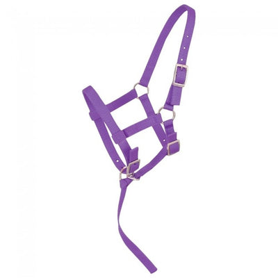 5-245850-purple.jpg