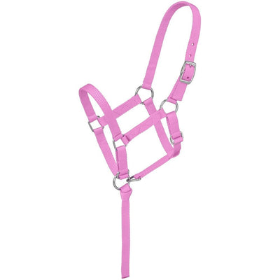 5-251480-pink.jpg