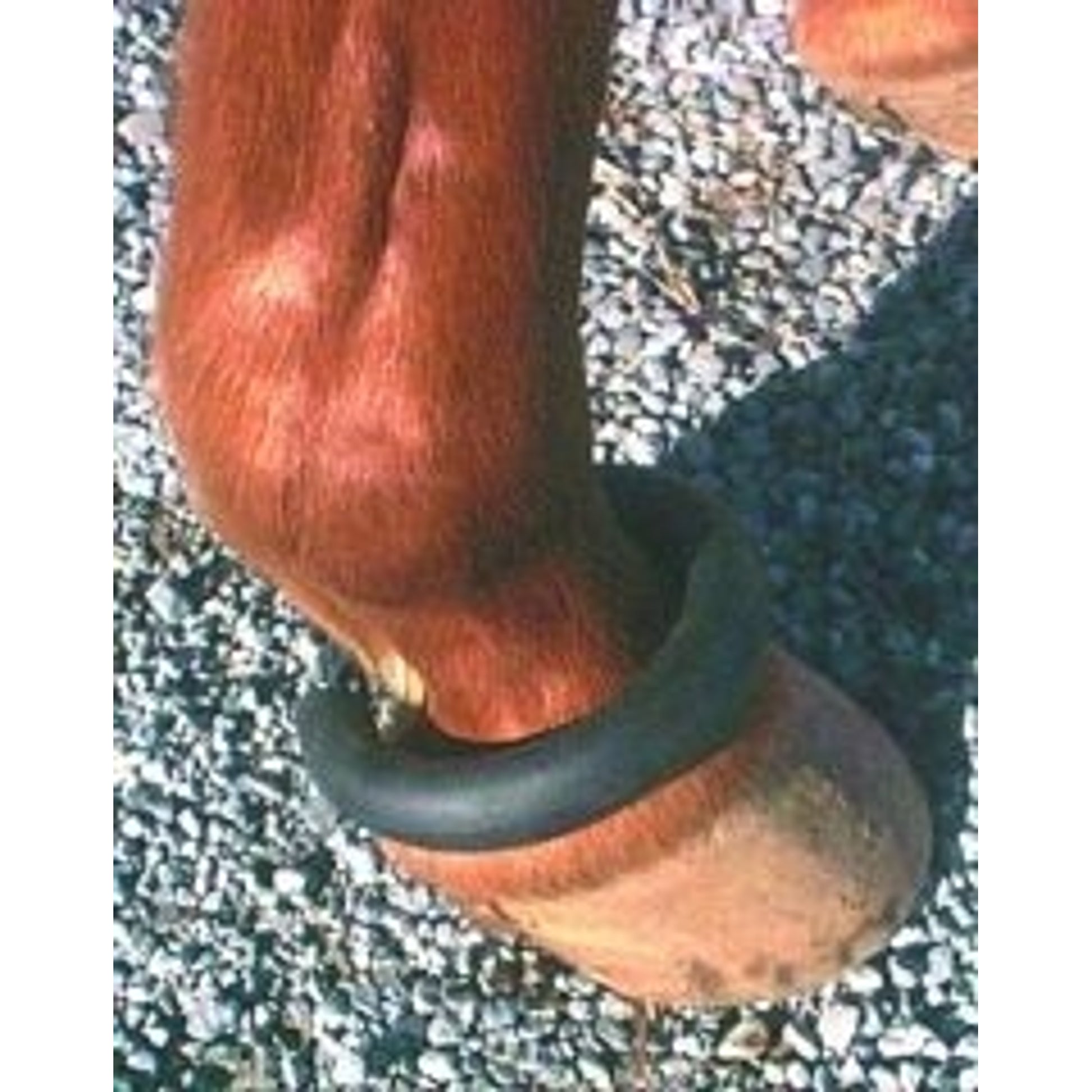5-260565.jpg