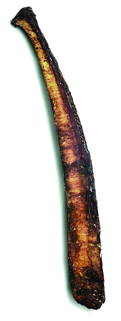 Shrink Wrapped Rib Bone 12
