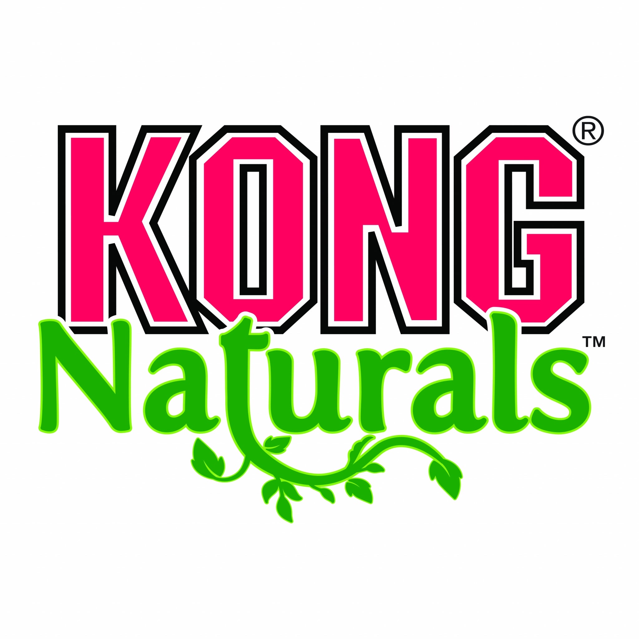 KONG Premium Catnip