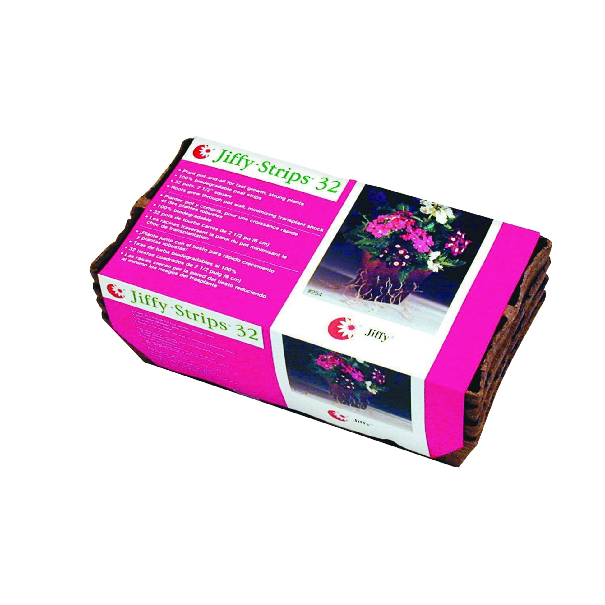 5-303779.jpg