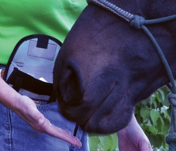 Just Rewards Treat Pouch II