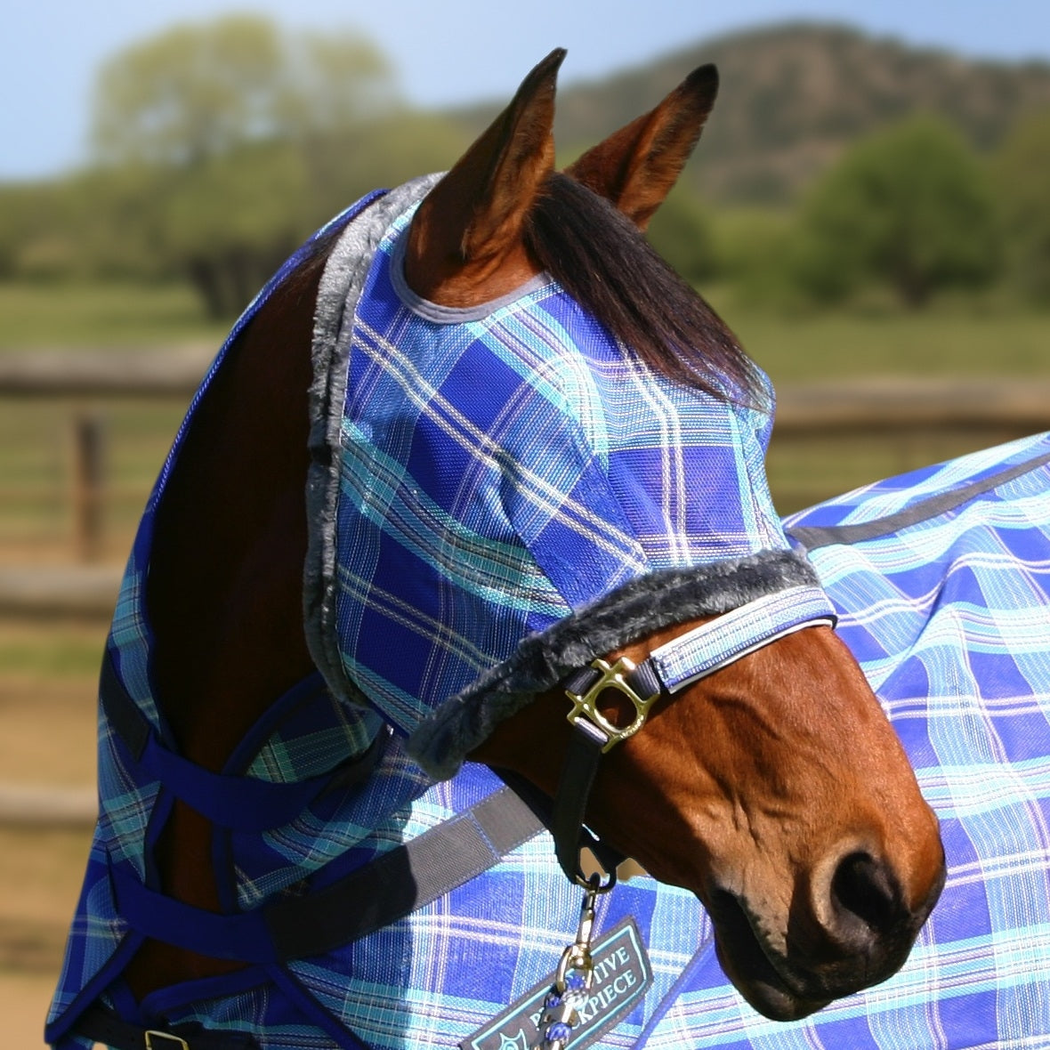Kensington Fly Mask with Fleece Trim