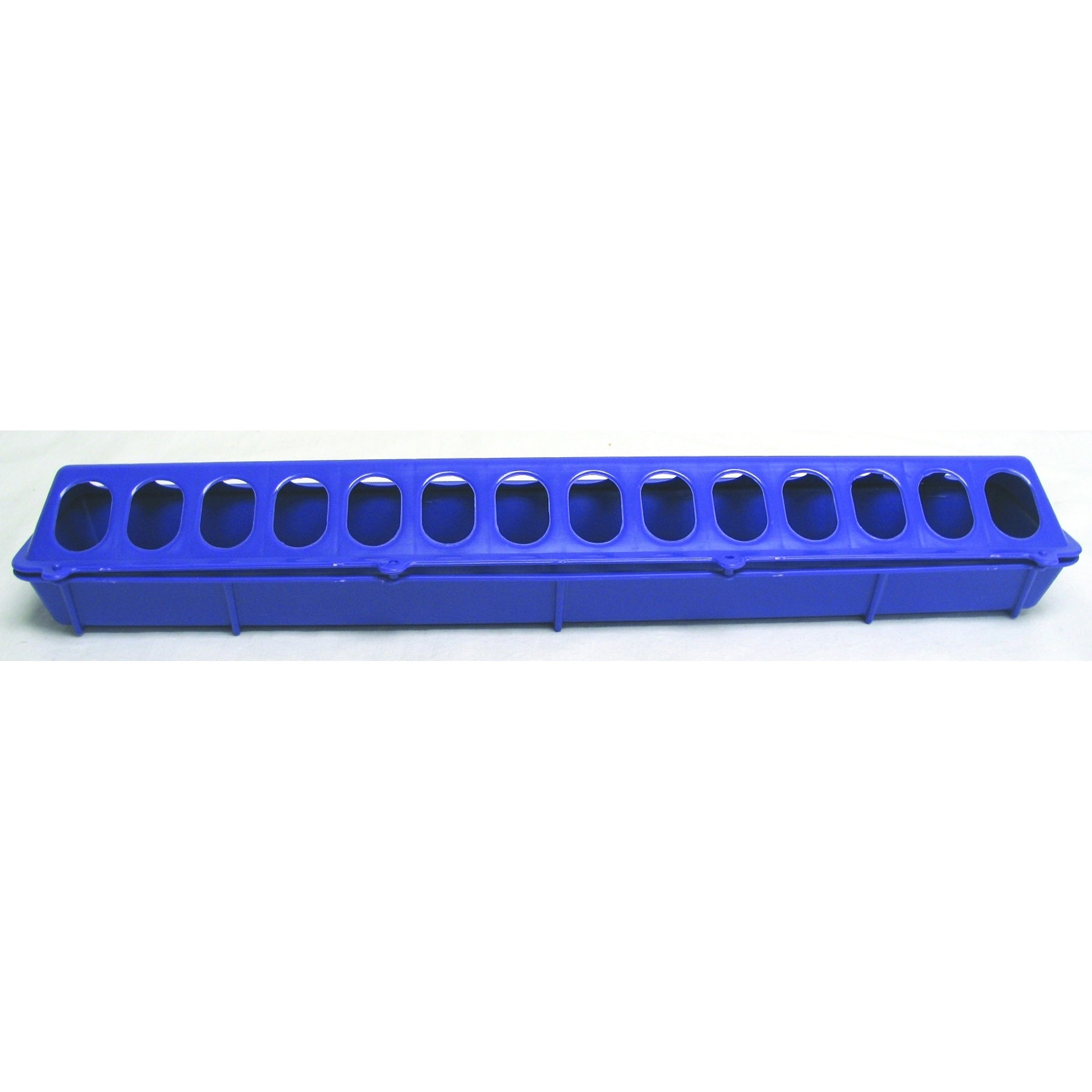 5-457548.jpg