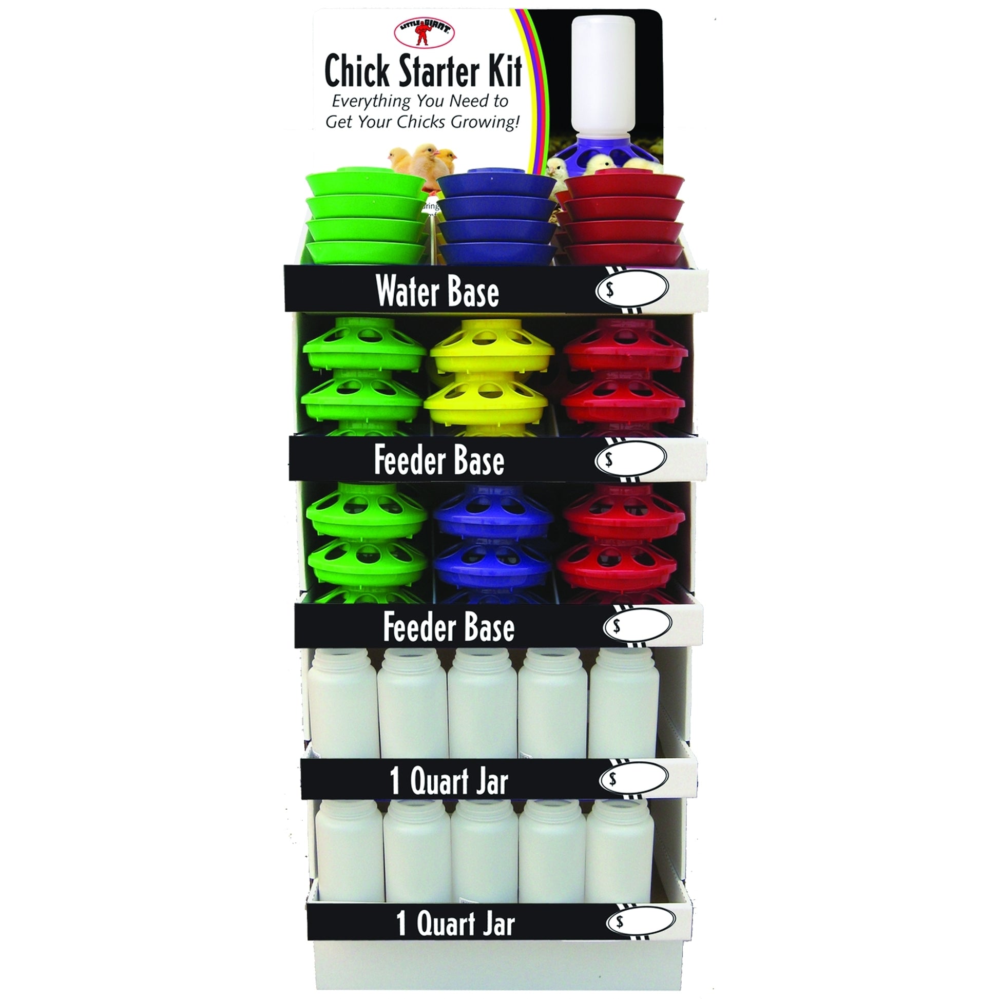 Little Giant Chick Base & Jar Display