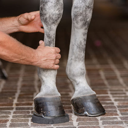 EquiFit HoofSavers Eva Foam Hoof Pads