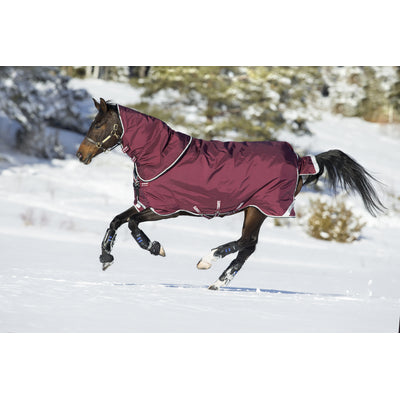 5-496242-burgundyduckeggblack.jpg