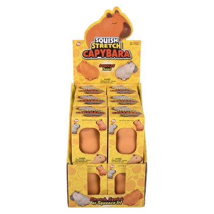 Stretch Squish Capybara Fidget Toy
