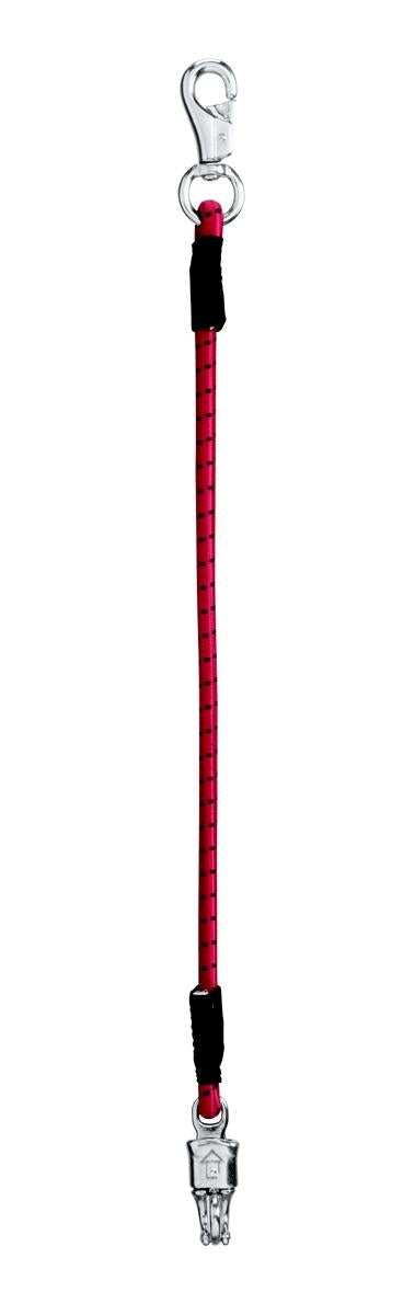 5-562094.jpg