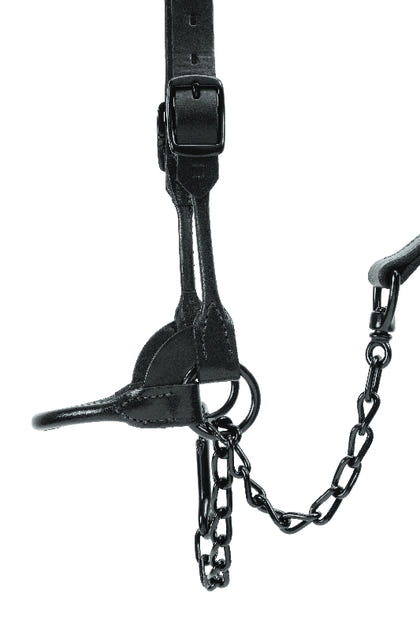 Weaver Leather Black Magic Show Halter