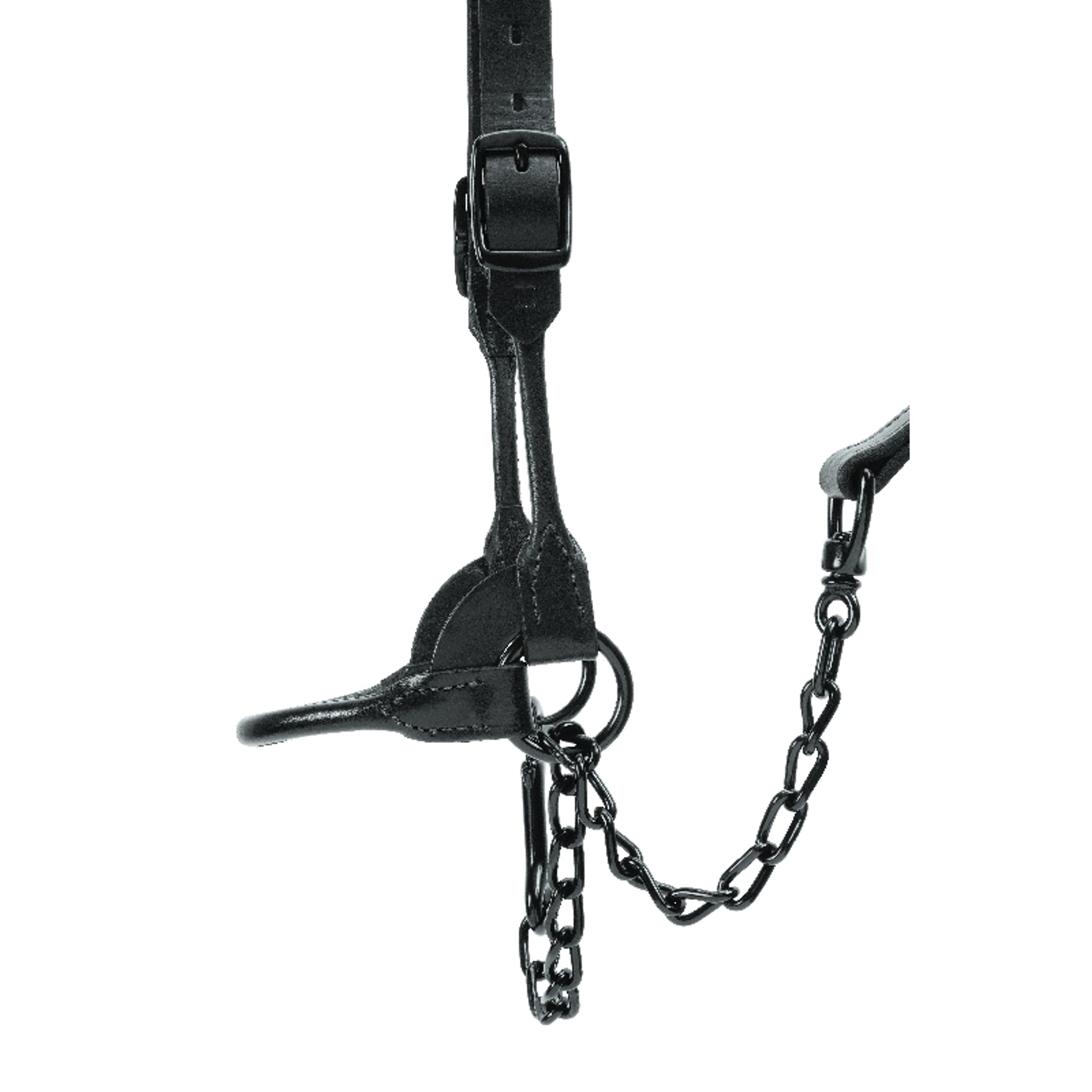 Weaver Leather Black Magic Show Halter