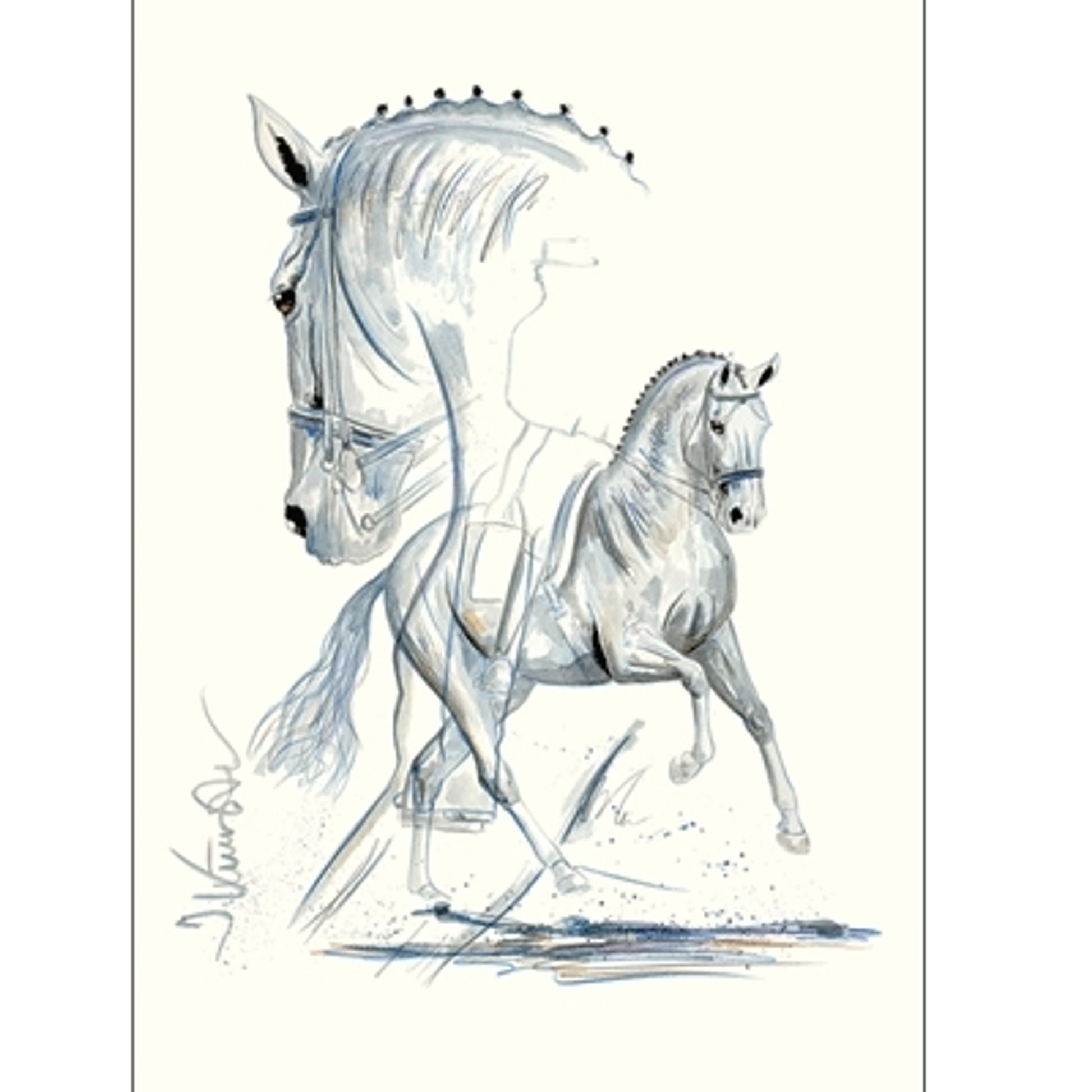 Verona (Dressage) By: Jan Kunster