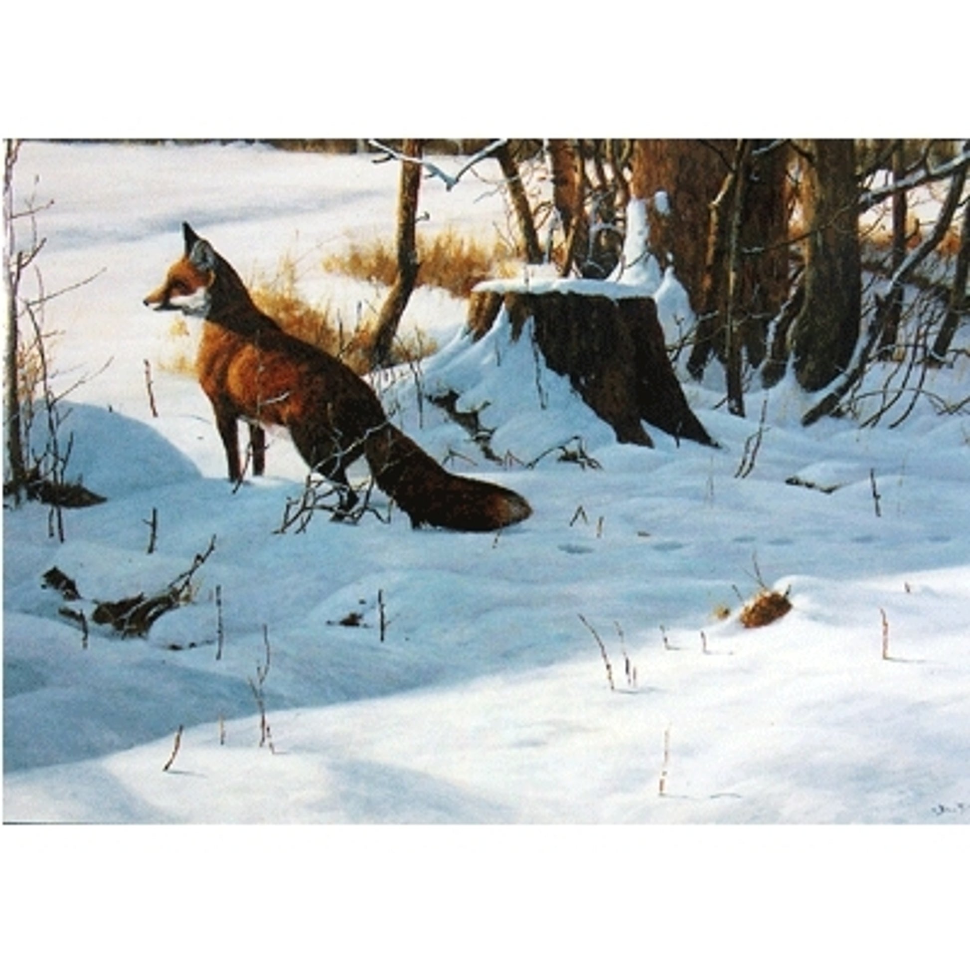 Christmas Morning (Fox) Blank Greeting Cards - 6 Pack
