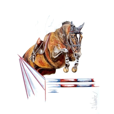 Jumping Jack Flash (Show Jumper) By: Jan Kunster