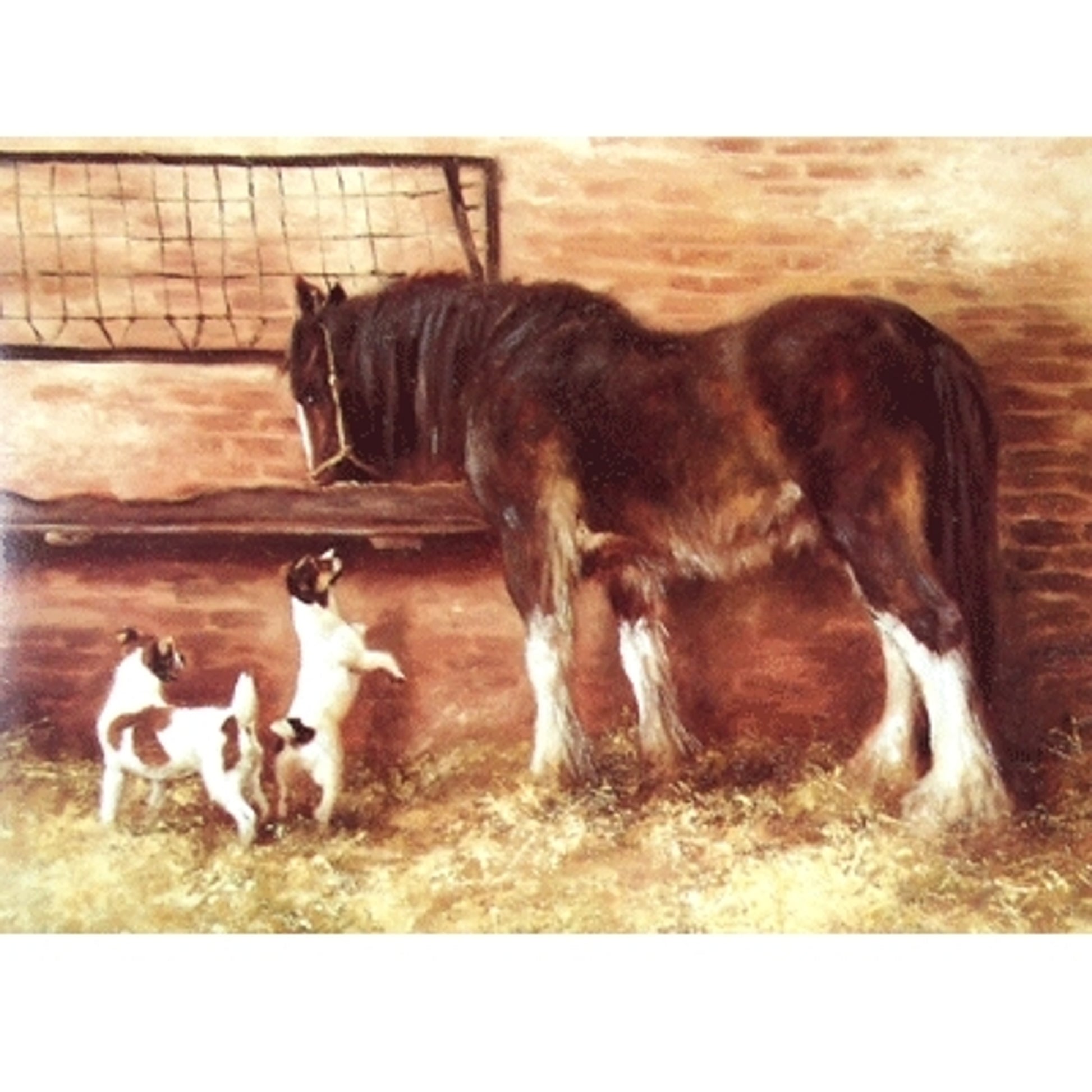 Lunchtime (Jack Russell and Draft Horse) Blank Greeting Cards - 6 Pack