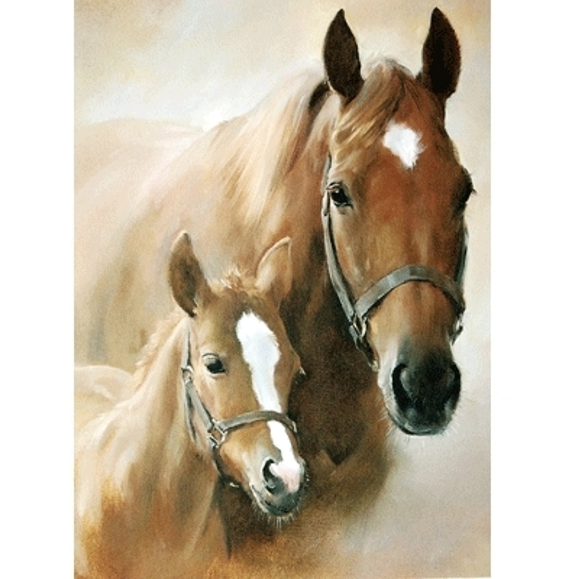 Chestnuts in the Sunshine Blank Greeting Cards - 6 Pack