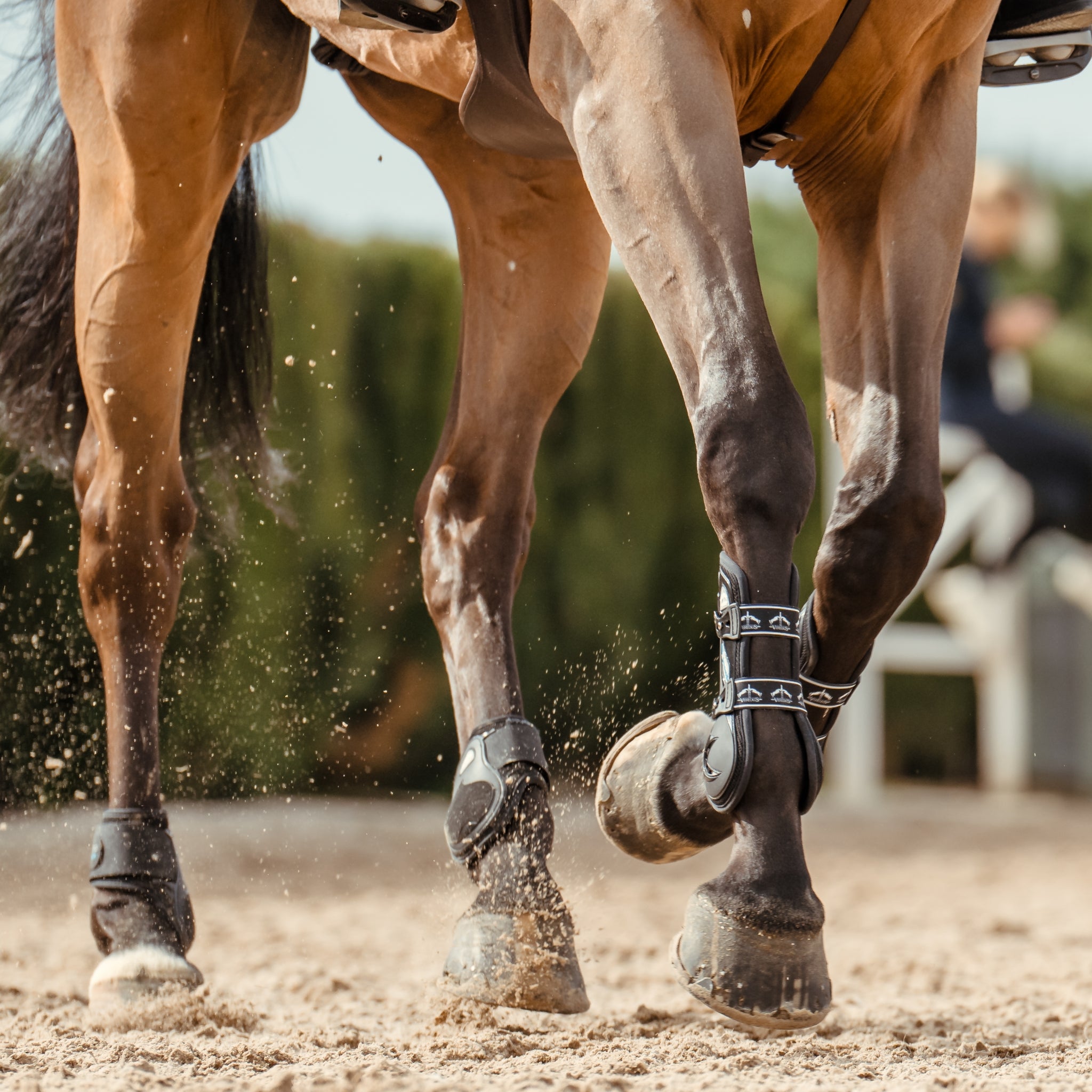 Veredus Carbon Gel Vento Front Tendon Boots