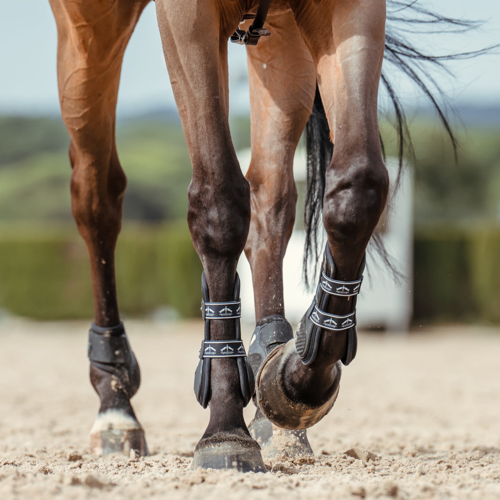 Veredus Carbon Gel Vento Front Tendon Boots