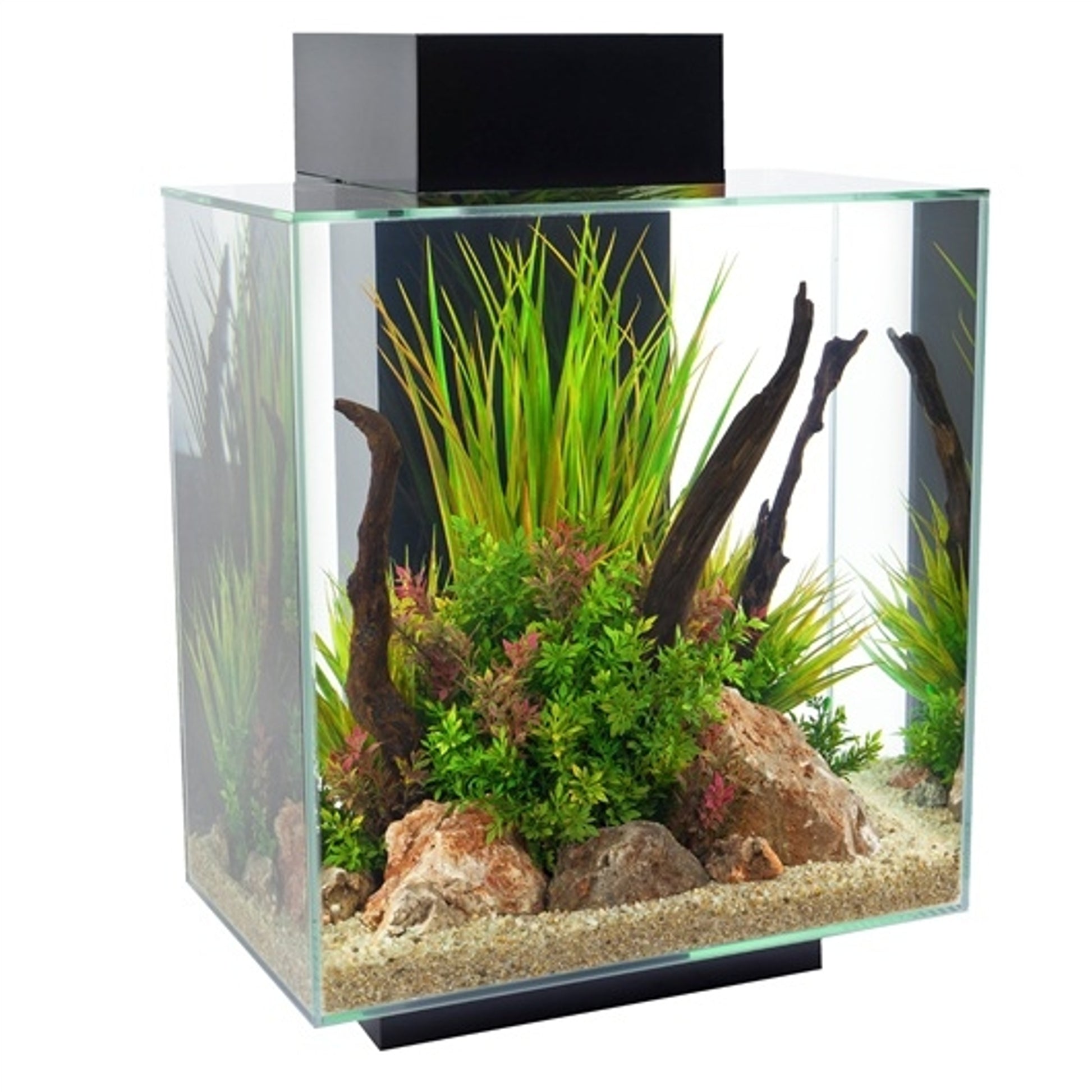 Fluval EDGE 12 Gallon Glass Aquarium Set with LED Lighting System