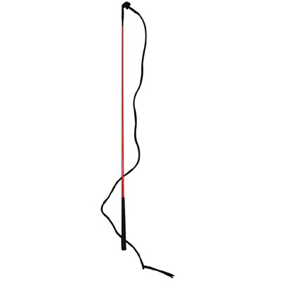 5-609831.jpg