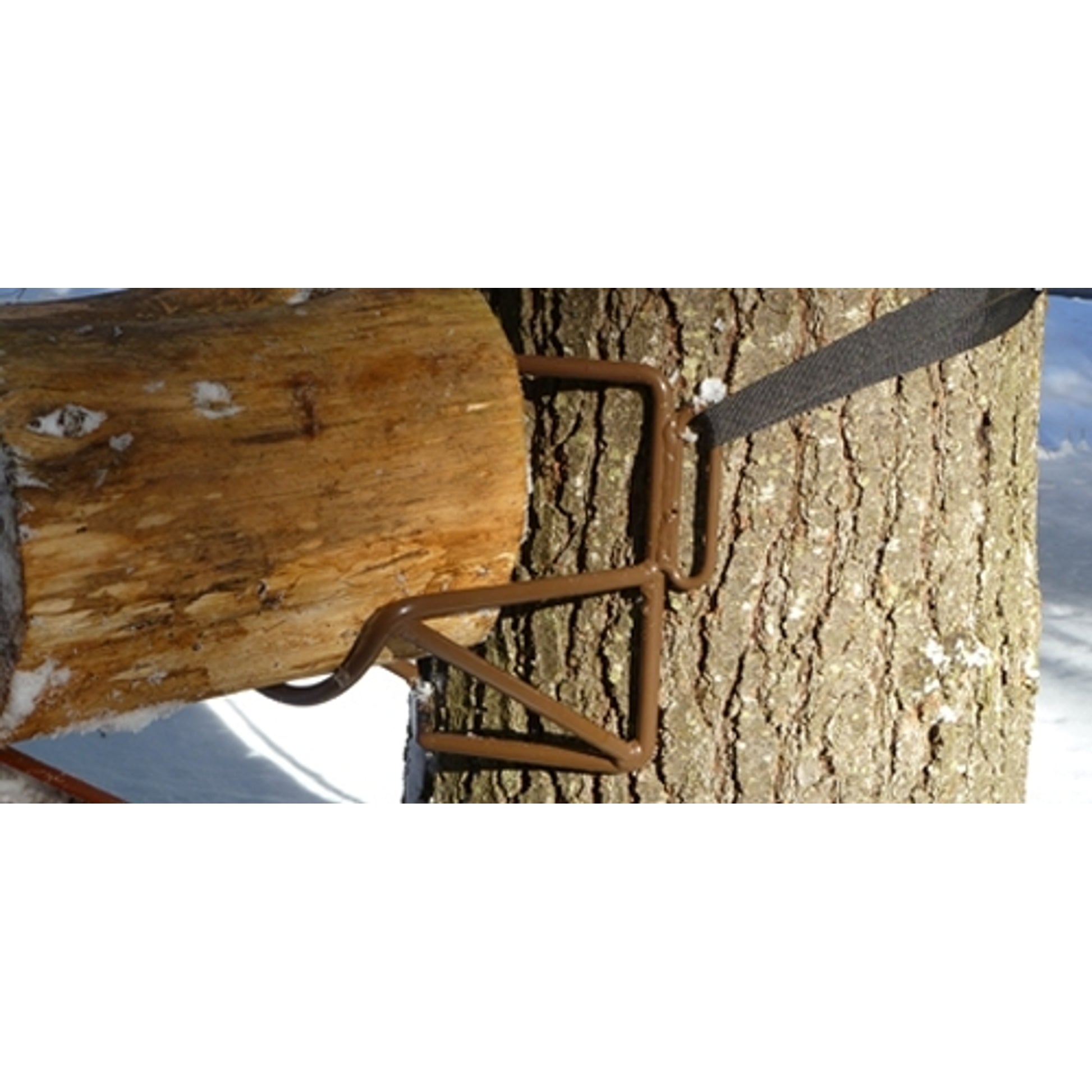 Timber Ties Field Jumps Cam Strap