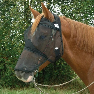 5-644884.jpg