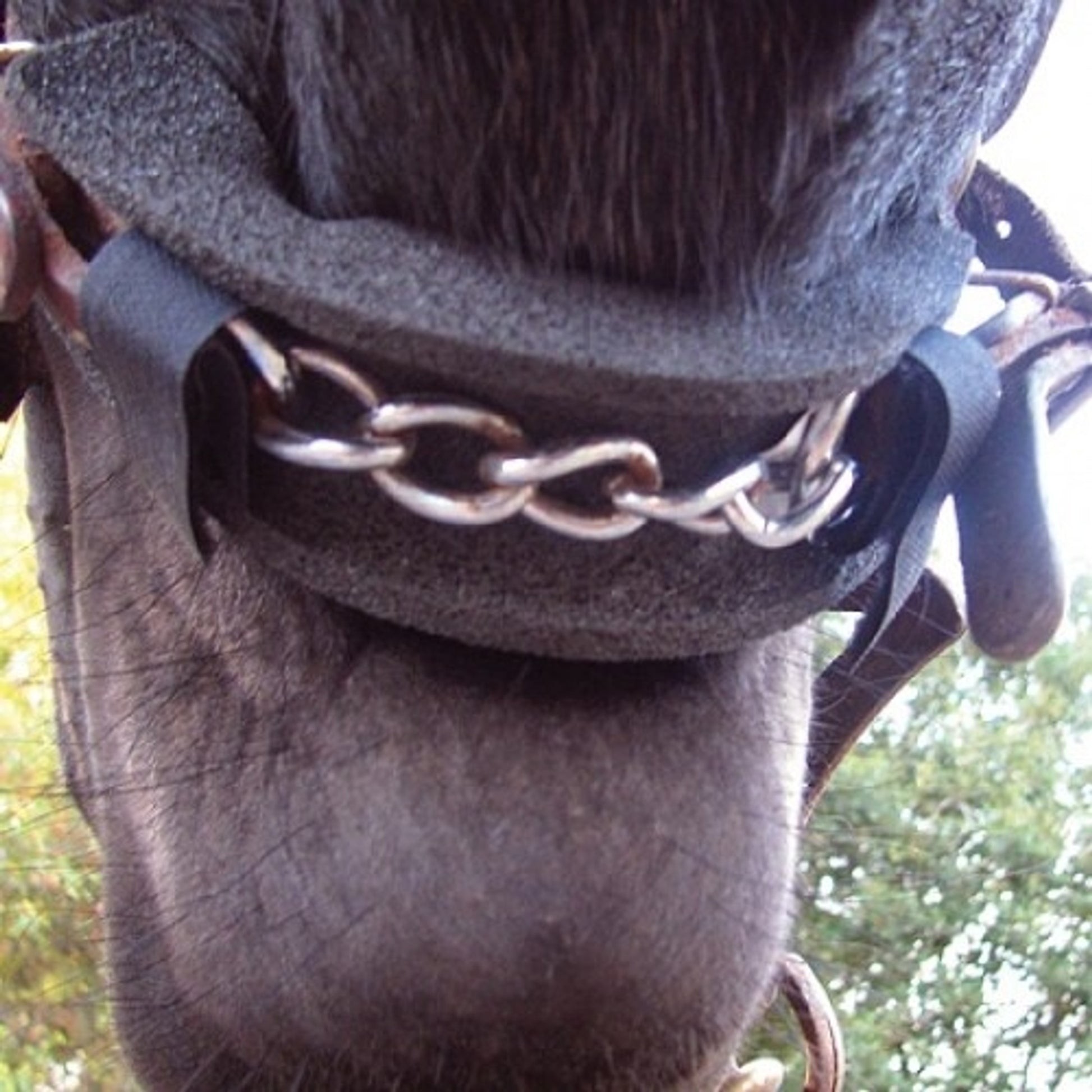 5-645244.jpg