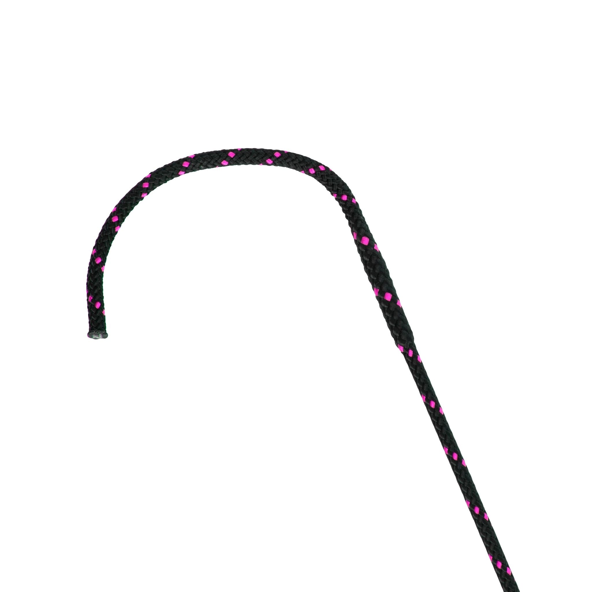 Shires Topaz Schooling Whip