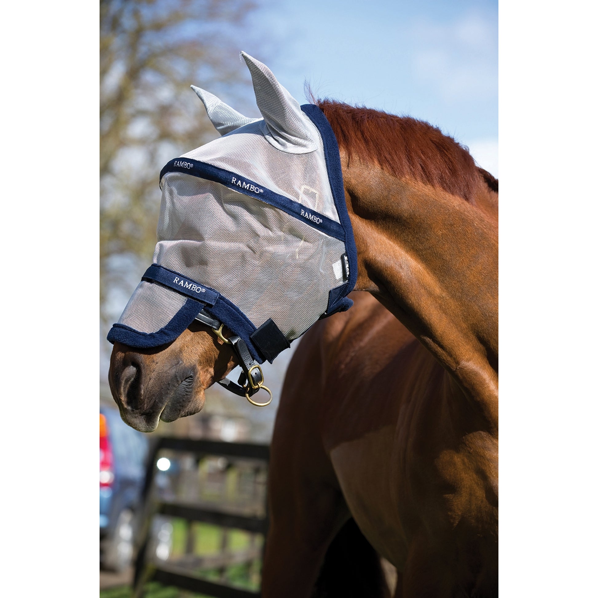 Rambo Flymask