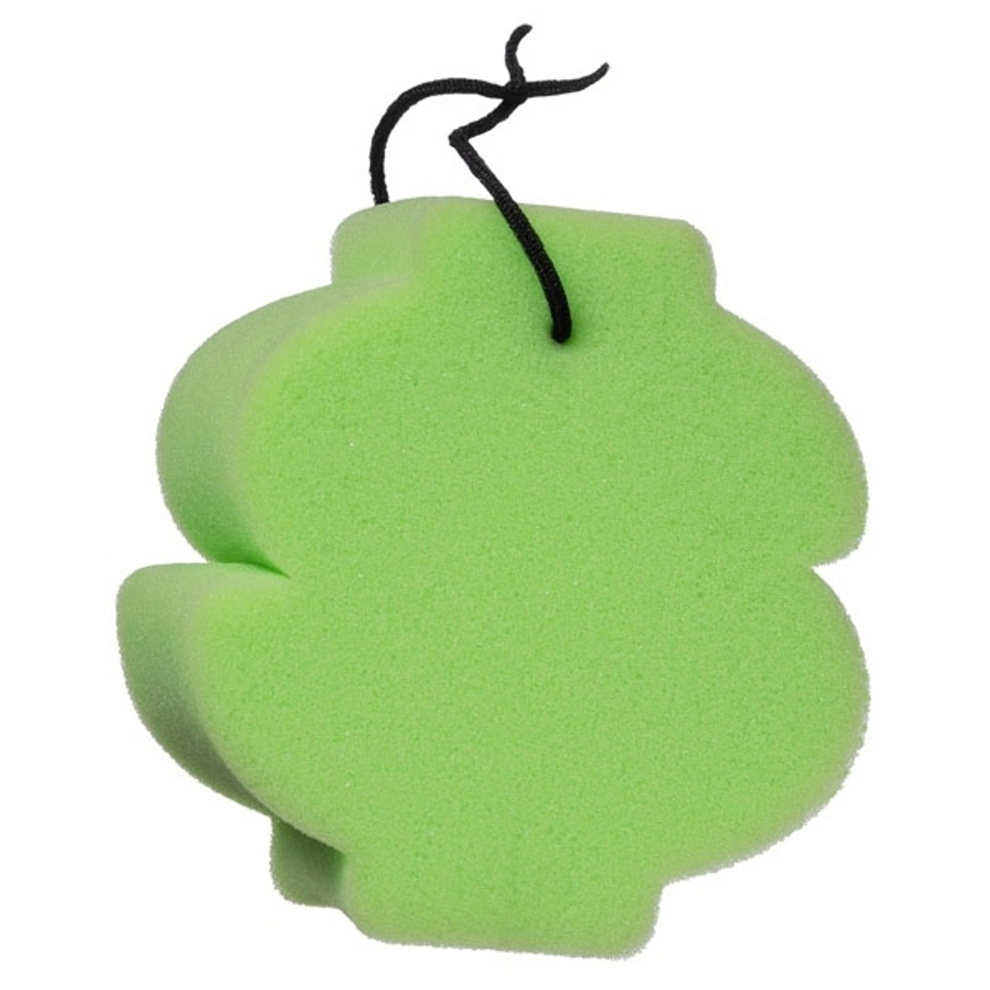 Thornhill Sponges - 6 pack
