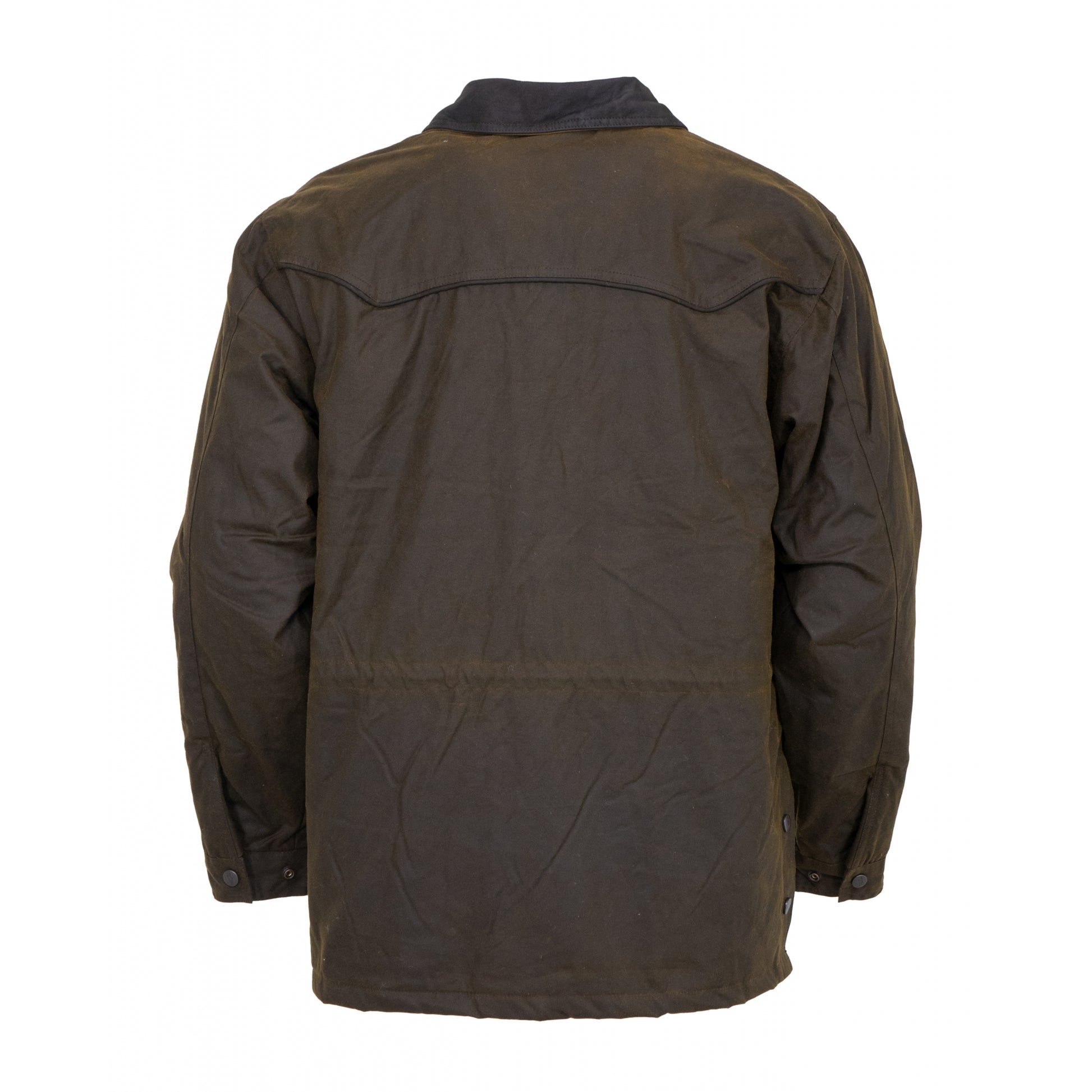 5-702436-bronze2.jpg