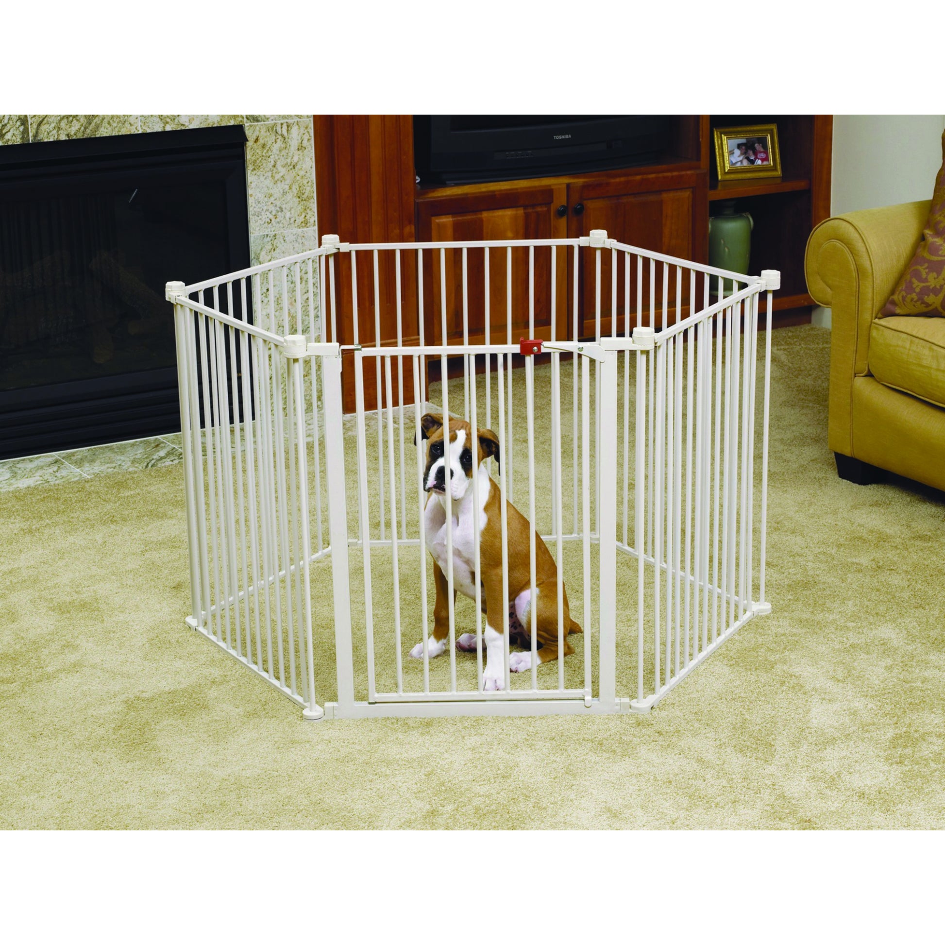 Carlson Pet Convertible Yard and Pet Gate