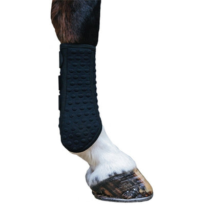 5-770047.jpg