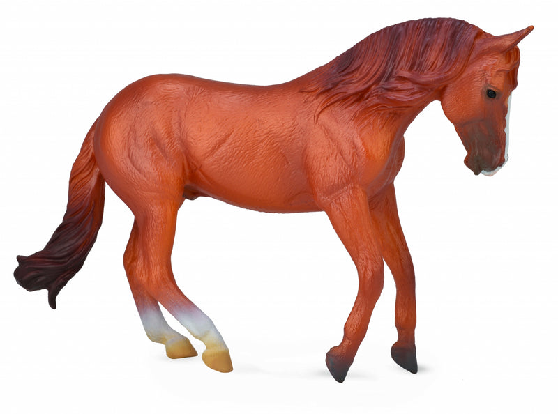 Breyer by CollectA Australian Stock Horse Stallion - Chestnut