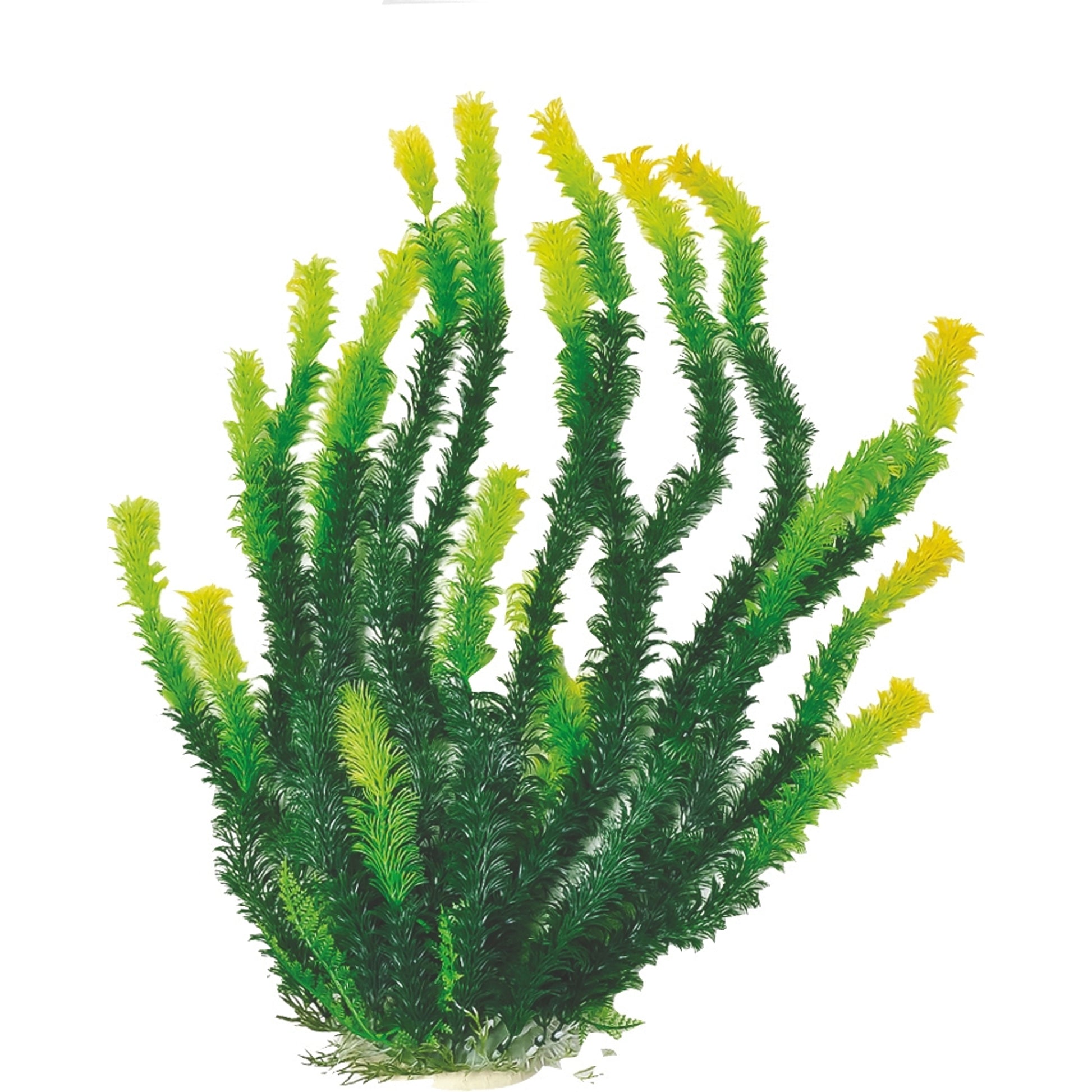 Aquatop Bushy Aquarium Plant With Weighted Base