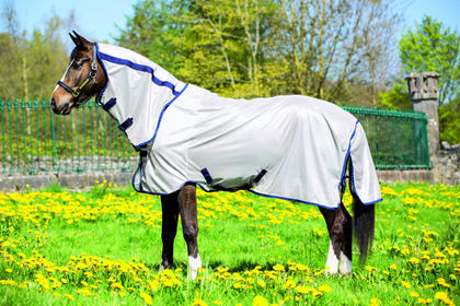 Amigo Mio Combo Flysheet