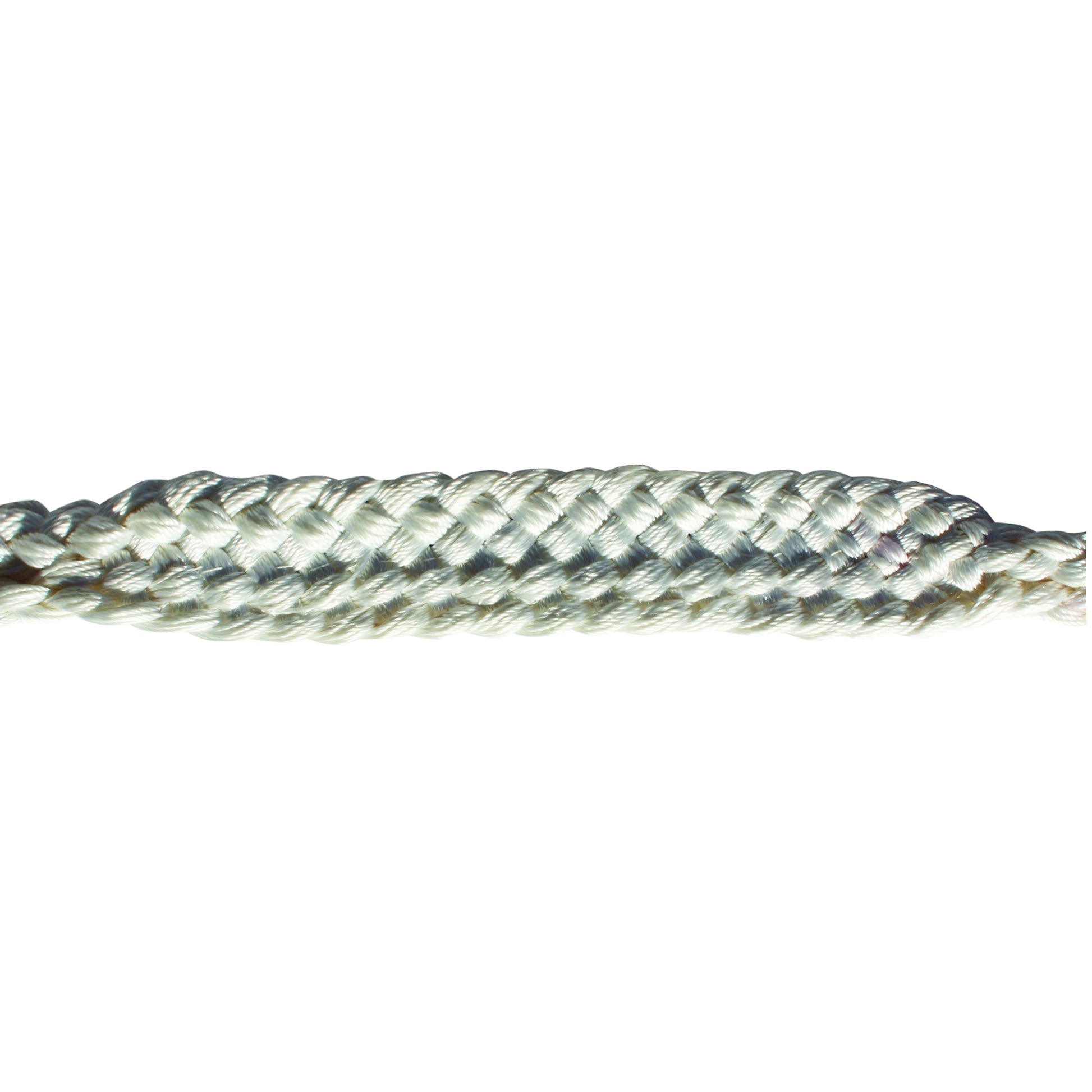 5-826245.jpg