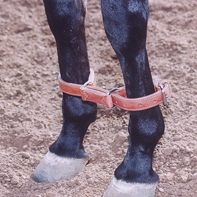 Martin Harness Hobbles