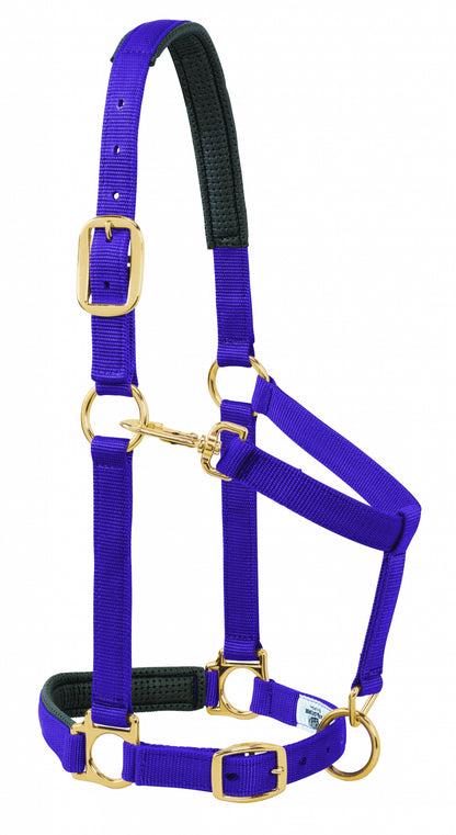5-841183-purple.jpg