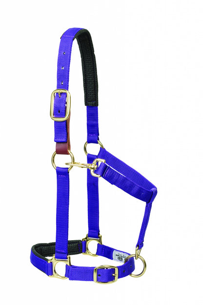 5-841205-purple.jpg