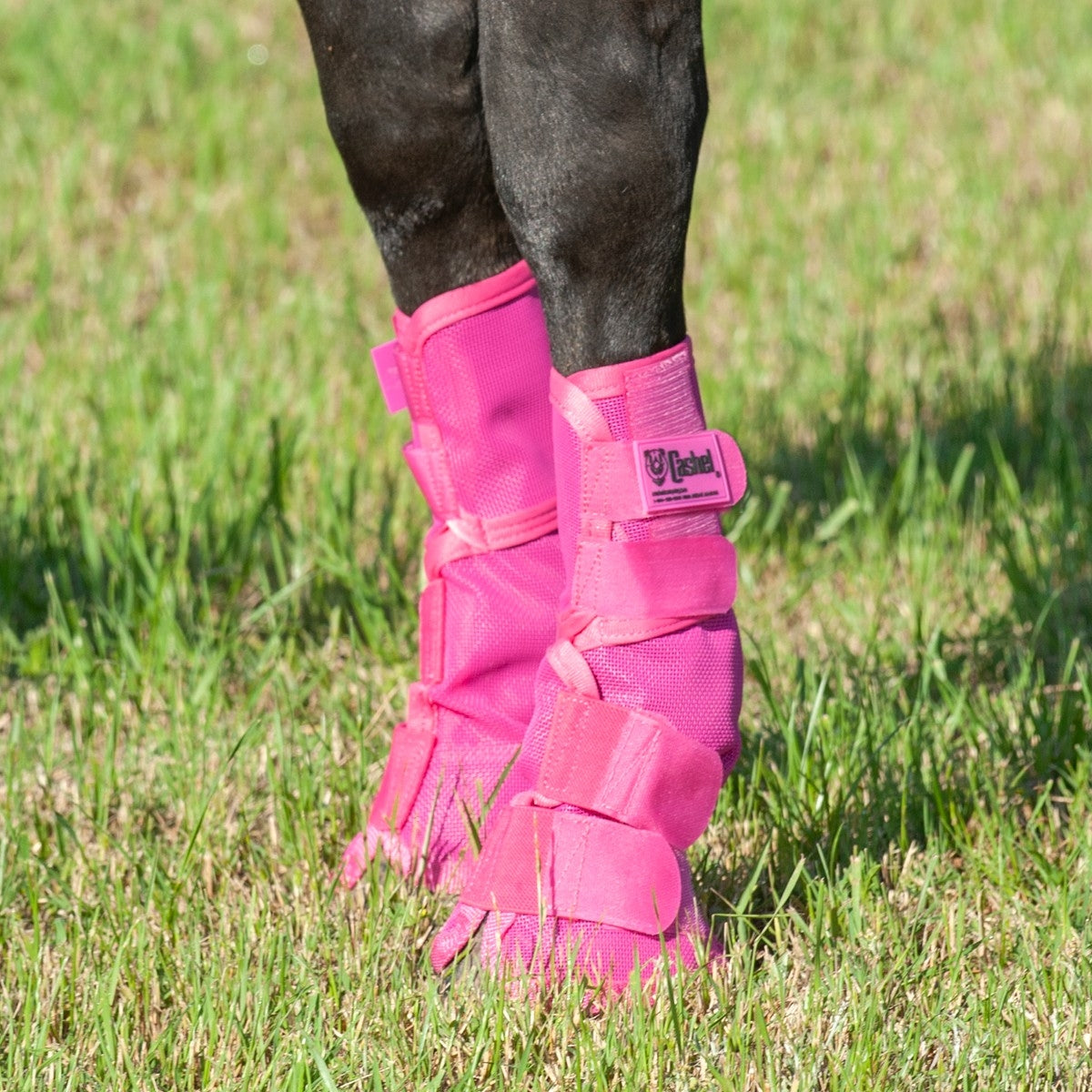Cashel Crusader Leg Guards