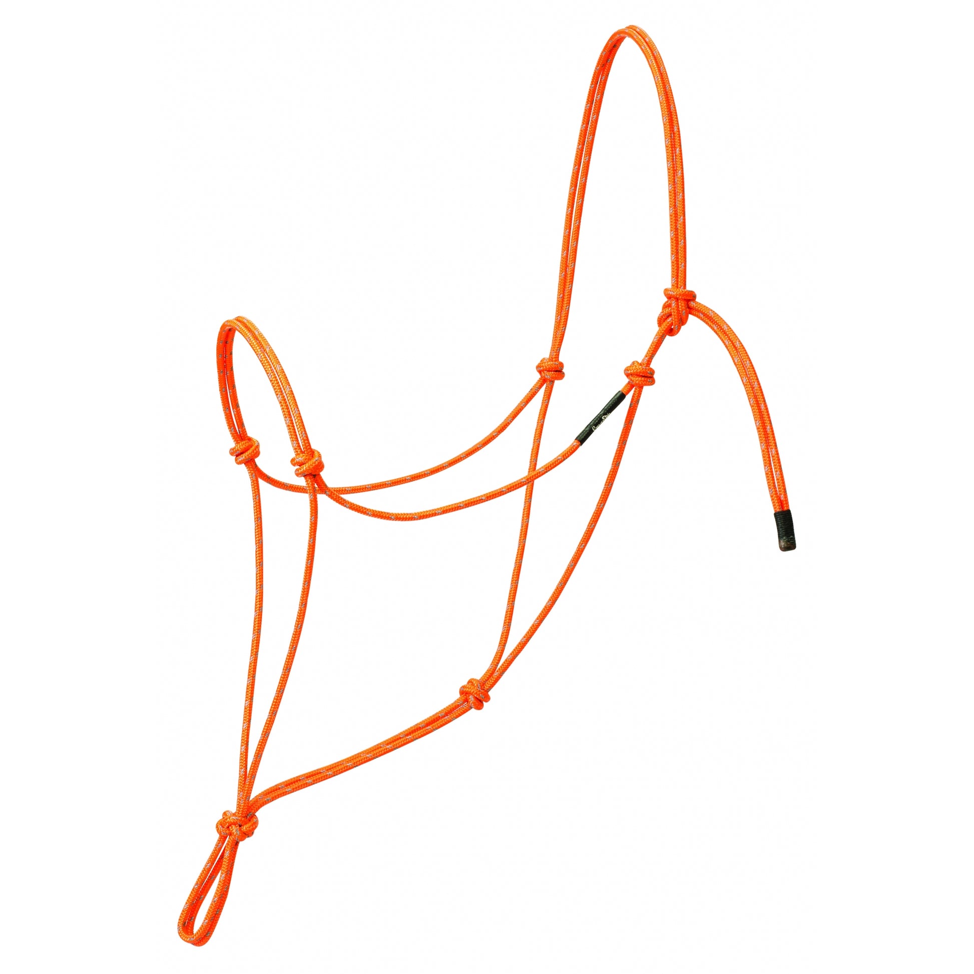5-853495-orange.jpg