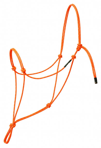 5-853495-orange.jpg